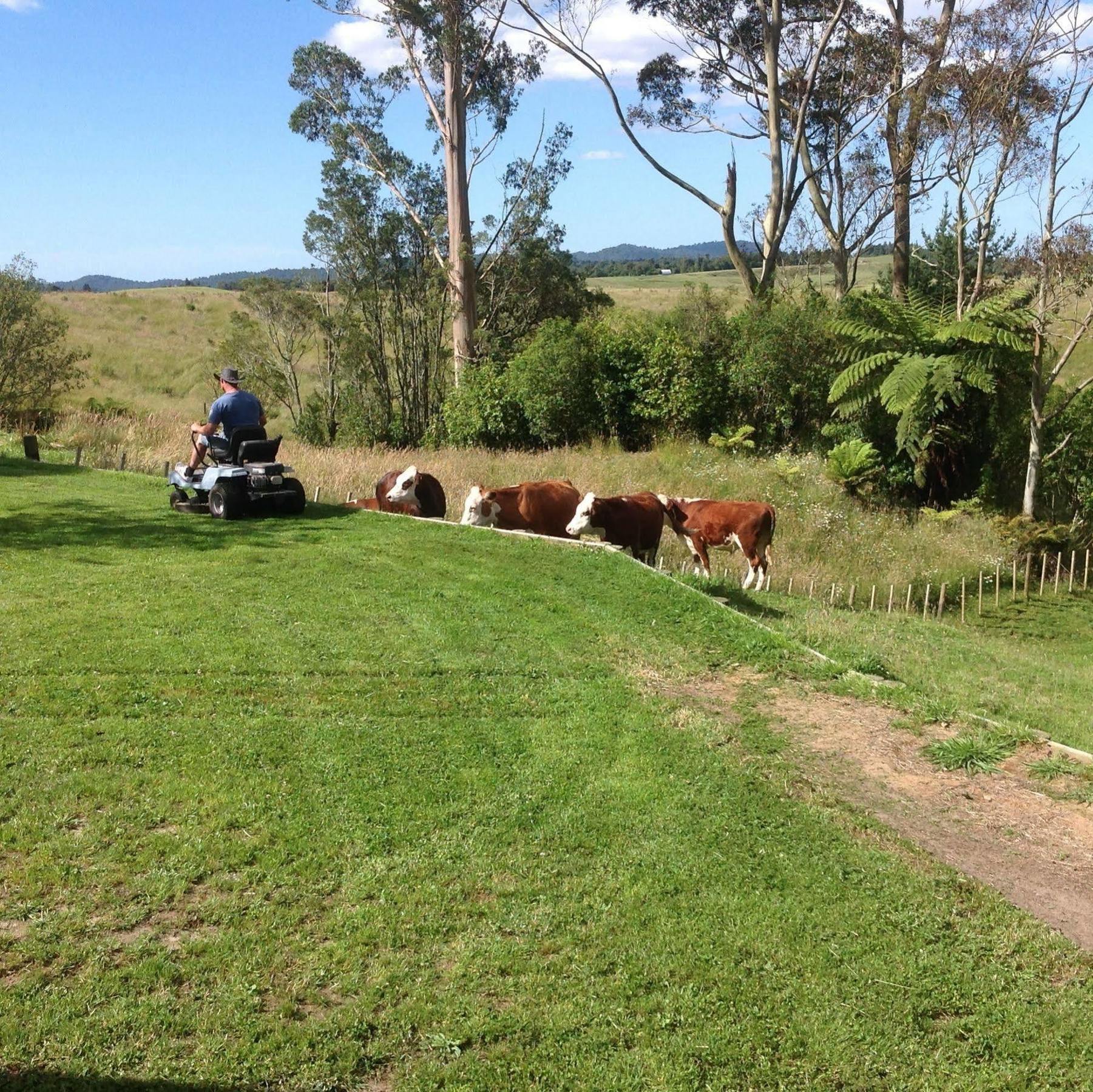 Rolling Hills Country Stay B&B Tauranga Luaran gambar